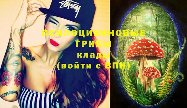эйфоретик Володарск