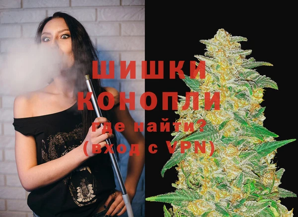 крисы Вязьма